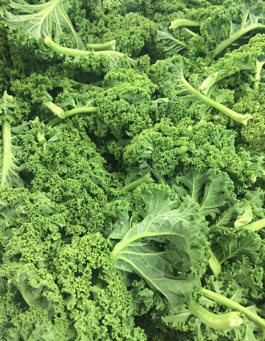 Promo chou Kale, cabas fermier, les Herbiers