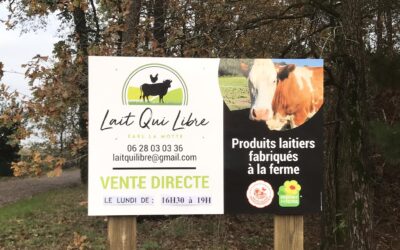 Vente directe produit laitier, Soullans