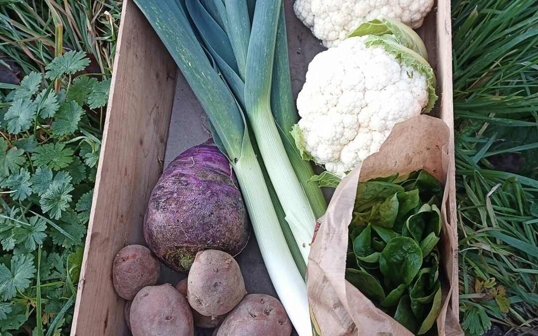 livraison Panier de la semaine, les herbiers et les epesses, ou à la ferme..