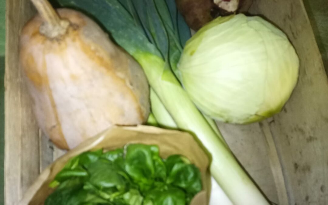 Panier de la semaine jardin d’Herbauges, les Herbiers