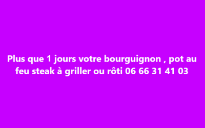 Steak bourguignon, La bichouette,  Saint-Hilaire-de-Talmont