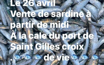 Saint Gilles, sardines, p’tit lou, aujourd’hui