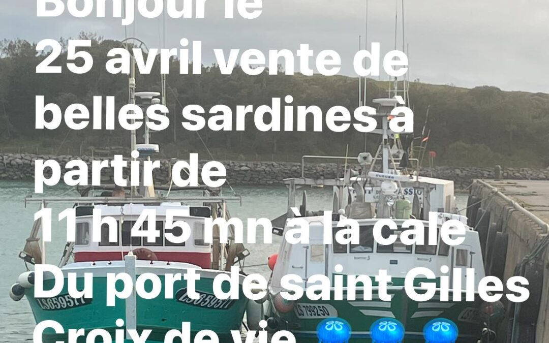 Saint-Gilles -Croix de Vie, Sardine, P’tit Lou. Aujourd’hui
