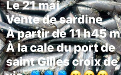 St-Gilles-Croix-De-Vie, Sardines, P’tit Lou. Aujourd’hui !!!