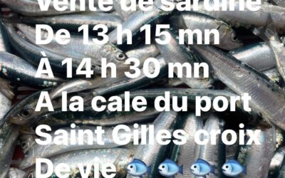 St-Gilles-Croix-de-Vie, Sardines, P’tit Lou, aujourd’hui