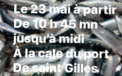 St-Gilles-Croix-de-Vie, sardine, P’tit Lou. jusqu’à Midi !!!