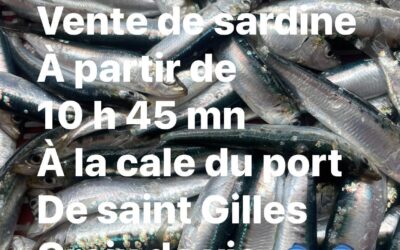 St Gilles-Croix-de-Vie, sardines, p’tit Lou