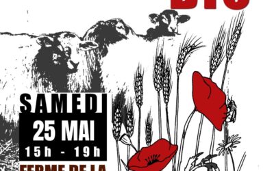 Le Girouard, Marché, l’indomptable, 25 Mai