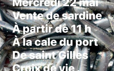 St-Gilles-Croix-de-Vie, Sardine, P’tit Lou, aujourd’hui !!!