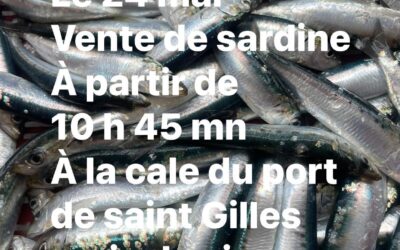St-Gilles-Croix de Vie, Sardine, ce matin !