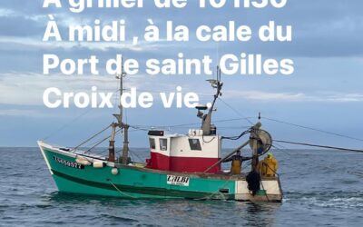 Saint-Gilles croix de vie, Sardine , ce matin