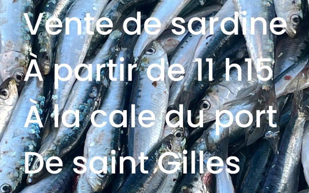 Saint-Gilles croix de vie, sardine, p’tit Lou