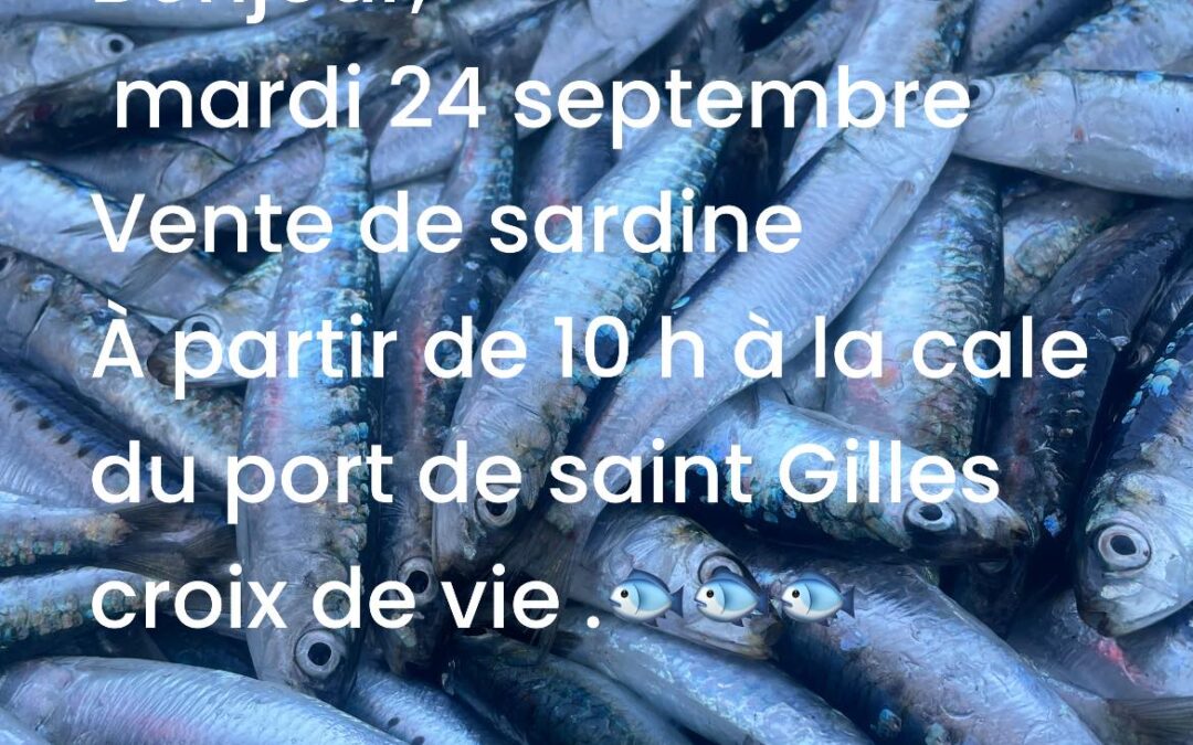 Saint Gilles croix de Vie, Sardines, P’tit Lou, aujourd’hui